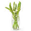 Ensemble de 6 vases Mychel-1770072688