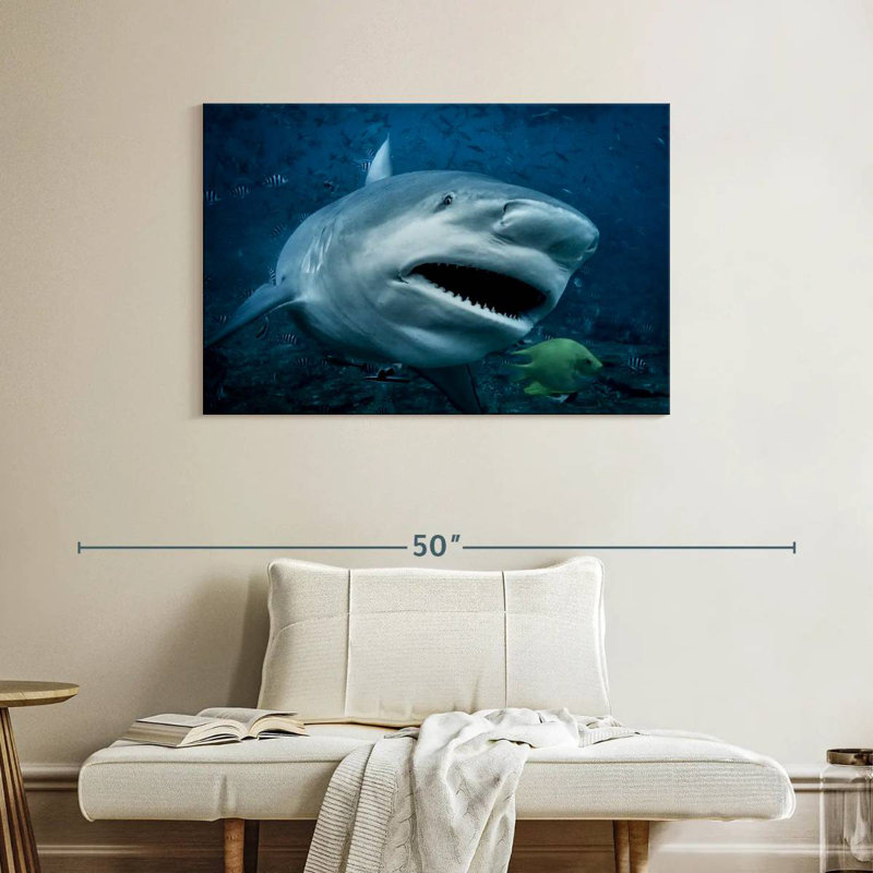 Brampt Bull Shark In Action, 26" H x 39" W