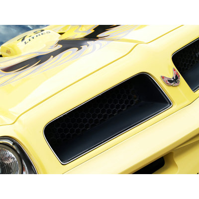 " 1976 Pontiac Trans Am "