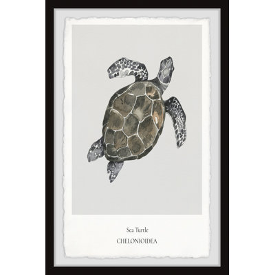 Chelonioidea - Single Picture Frame Print