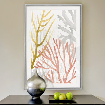 Corail du désert II - Étude nautique antique, encadrée sous verre acrylique, décoration murale côtière pour salon