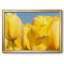 Sunshine Yellow I, reproduction d'art sur toile-95889806-95889809
