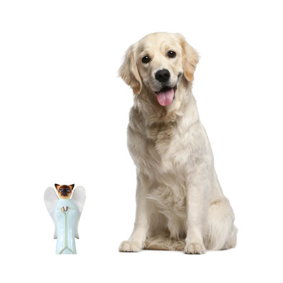 Defino Animals Figurines & Sculptures