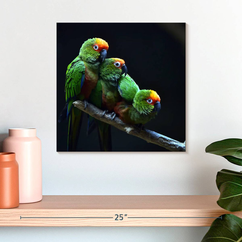 Brampt Golden Capped Parakeets, 16" H x 16" W