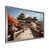 Silver Picture Framed selected