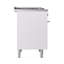 ILVE Professional Plus II 40 in Dual Fuel Range-1245394961-1245394965