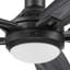 Ventilateur de plafond contemporain Radstock