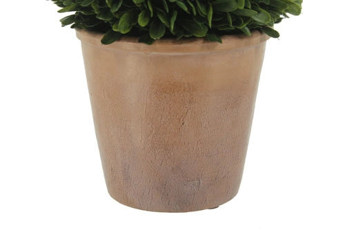12" Artificial Boxwood Plant in Round Pot, 12 in x 8 in