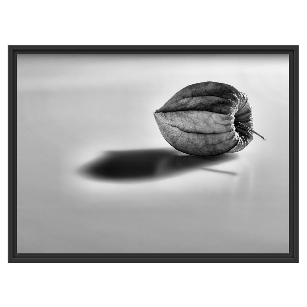 Gerahmtes Wandbild kleine Physalis