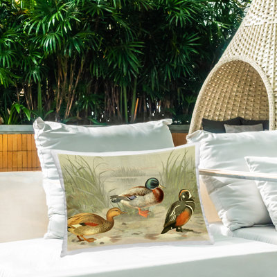 Coussin d'extérieur imprimé "Ducks & Pond Nature" par Gail Fraser