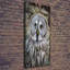 Owl - Wrapped Canvas Print
