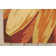 Colleen Floral Indoor Rug