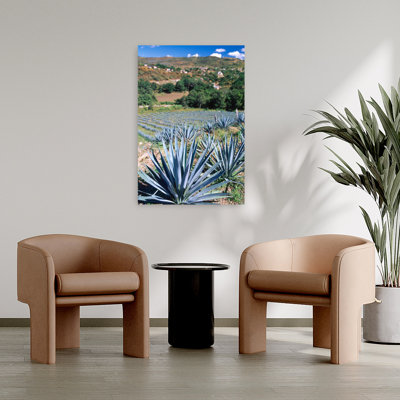 Tequila Agave Cultivation Mexico Abstract Contemporary Landscape Nature Art