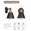 Mudge Armed Sconce-461863966