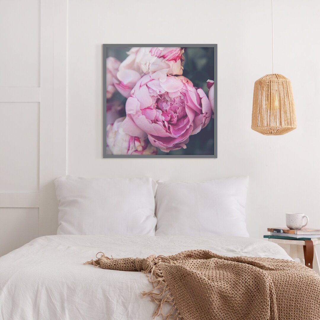 Gerahmter Fotodruck Peony Flower Shabby