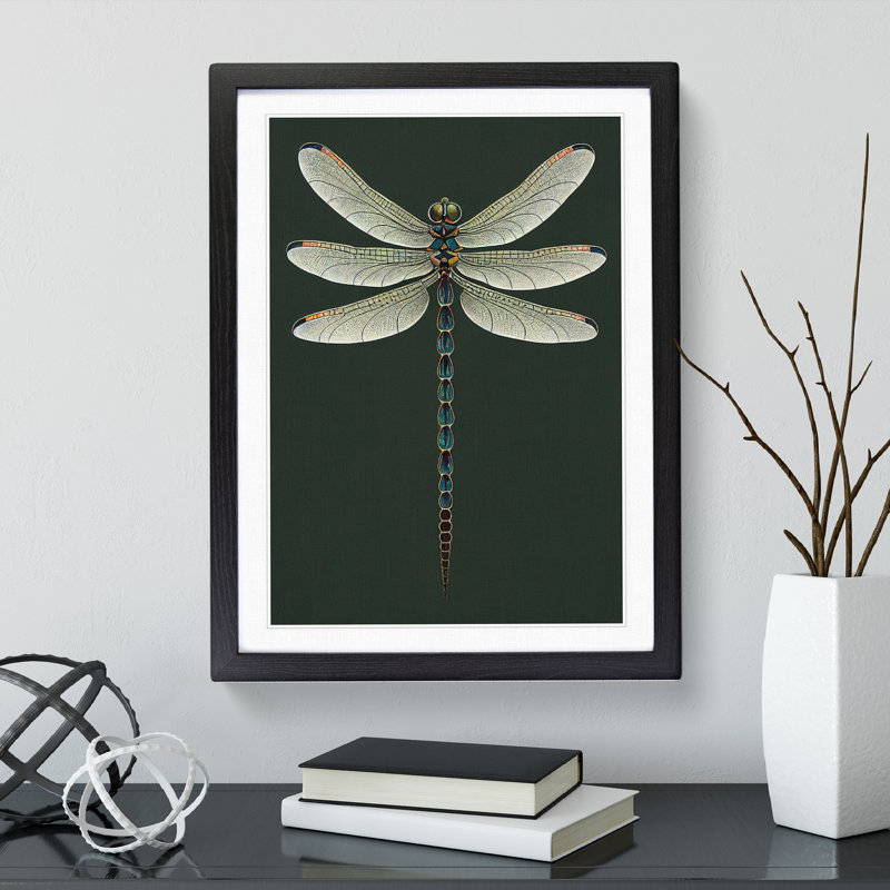 Symmetrical Dragonfly - Framed Print, Black Framed, 46cm H x 34cm W x 2cm D