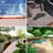 JZXWDT Indoor / Outdoor Rug-627984675