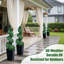 Artificial Boxwood Spiral Topiary Tree with Tall Black Planter for Home Office Decor-240136939