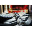 Cojonudo Cowhide Abstract Area Rug-339569806