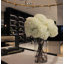 White Hydrangeas In Clear Glass Cylinder Vase-875334990-875334977