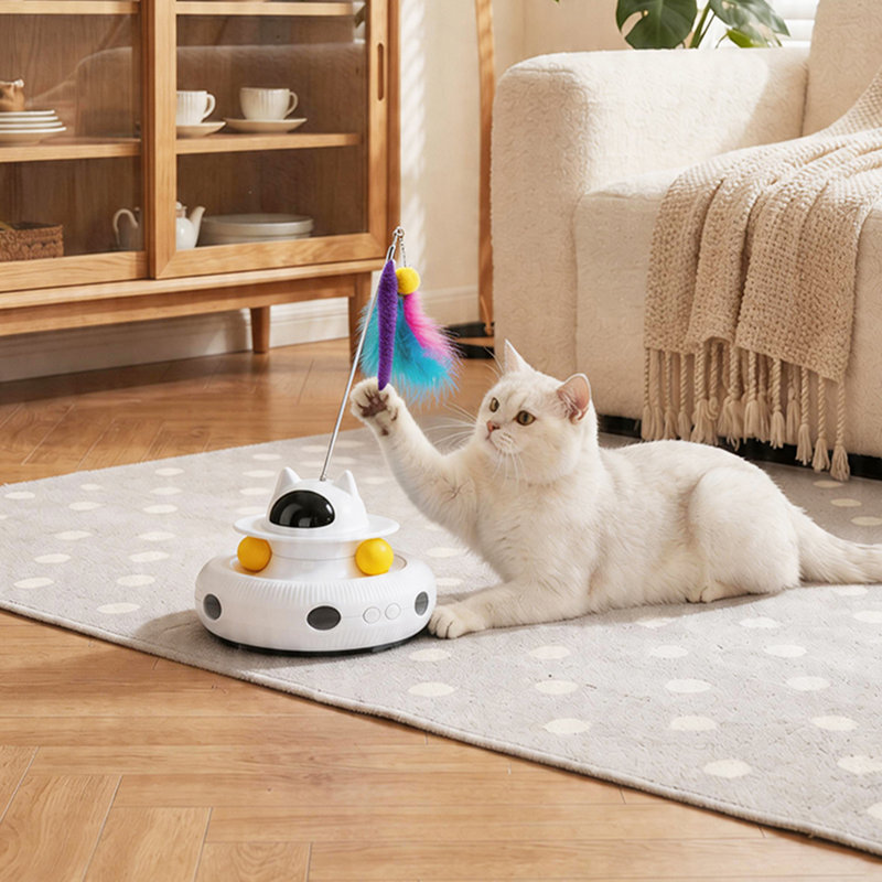 4 in 1 Rechargeable Interactive Cat Toy