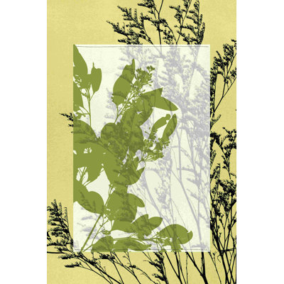 Fleurs sauvages translucides III