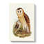 Grass-Owls by Elizabeth Gould - Wrapped Canvas-55366142