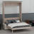 Murphy Bed With Sofa And LED