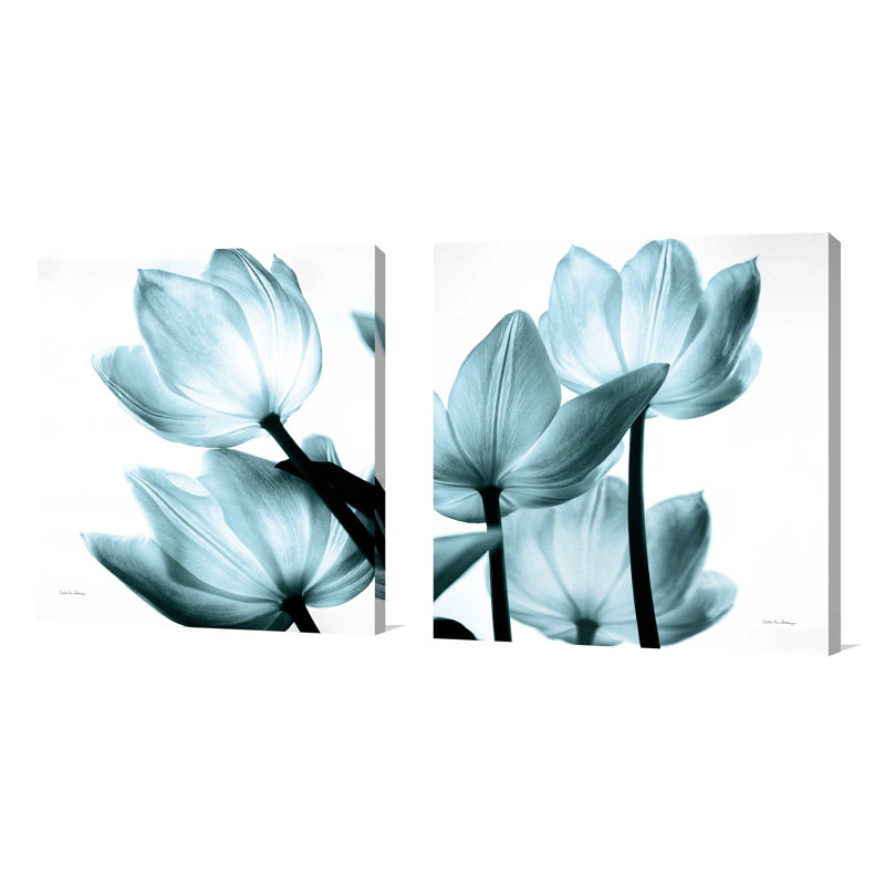 Motif de tulipes translucides II Sq Aqua Crop - impression, H 24 po x l 48 po x P 1,5 po, Toile tendue