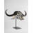 Buffalo Mask