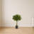 Bay Leaf Topiary Silk Tree