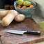 Florence 7.09'' L Santoku Knife
