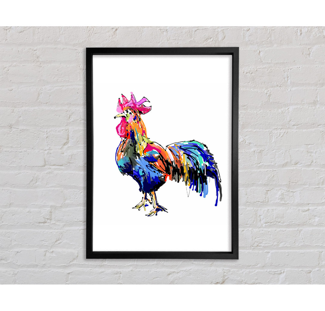 Regenbogen Roostera - Druck