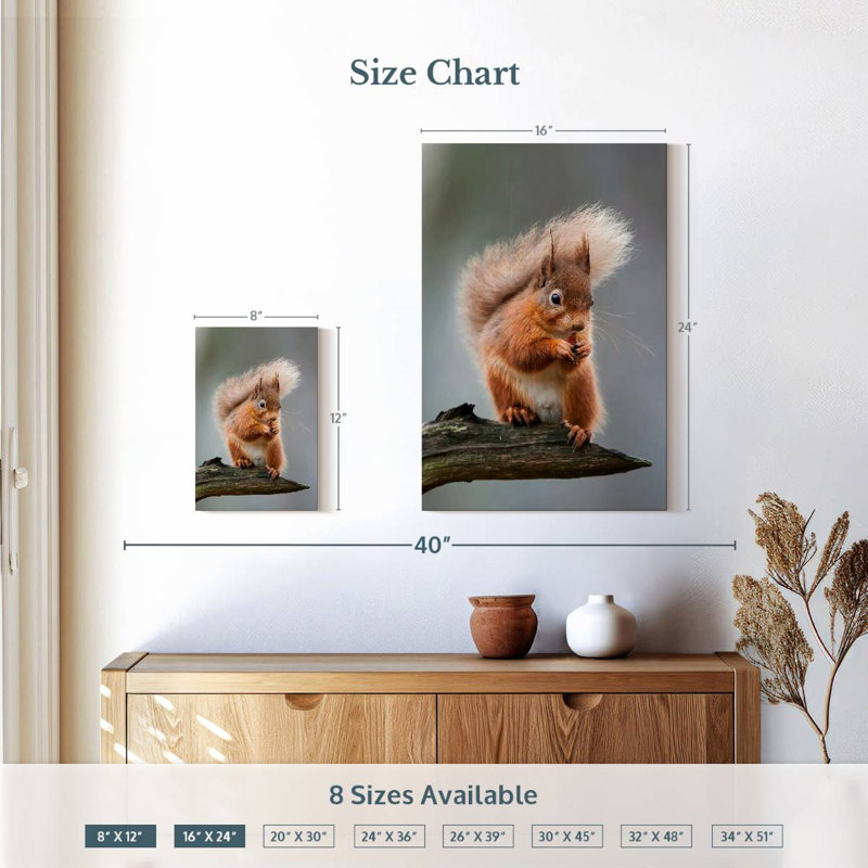 Brampt Red Squirrel Eating On A Branch, 12" H x 8" W
