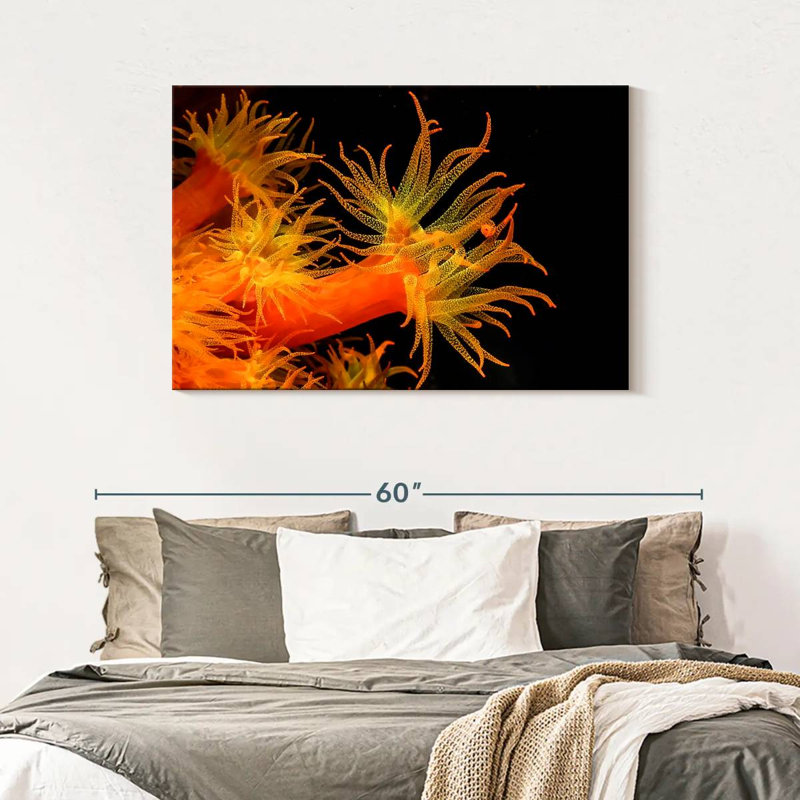 Brampt Sun Polyps, 30" H x 45" W