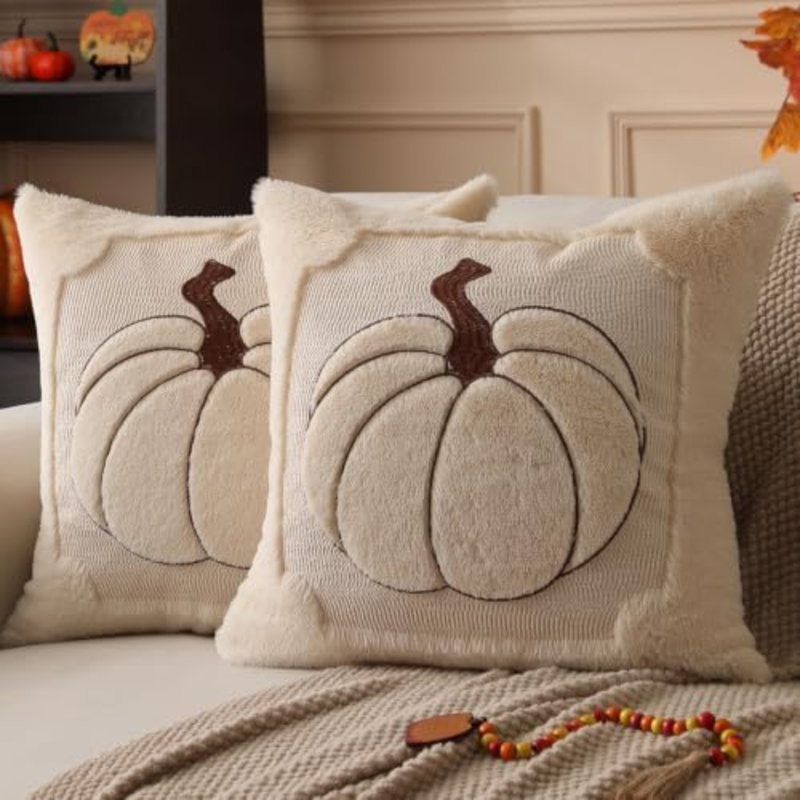 Ensemble de 2 coussins décoratifs 16 x 16, Beige, Square 16"
