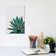 Agave Cactus by Orara Studio - Print on Canvas