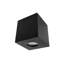 Calliann Flush Mount