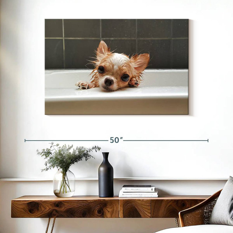 Brampt Chihuahua Bathing, H 26 po x l 39 po