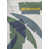Rectangle 5'3" x 7'7"