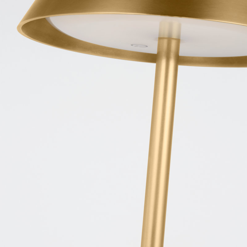 Tepa Medium Rechargeable Floor Lamp, Antique Brass