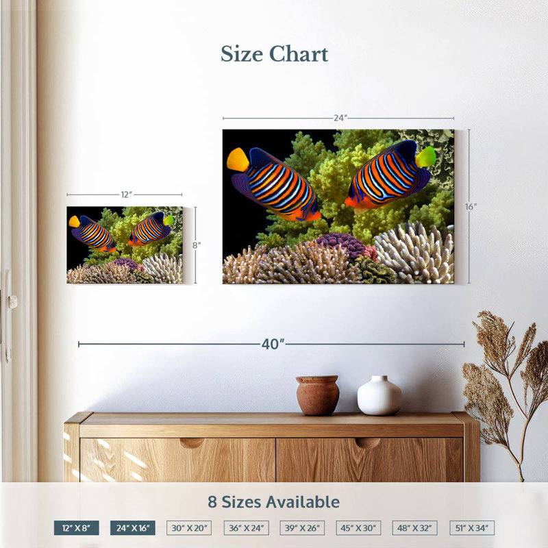 Brampt Red Sea Reef Regal Angelfish, 16" H x 24" W