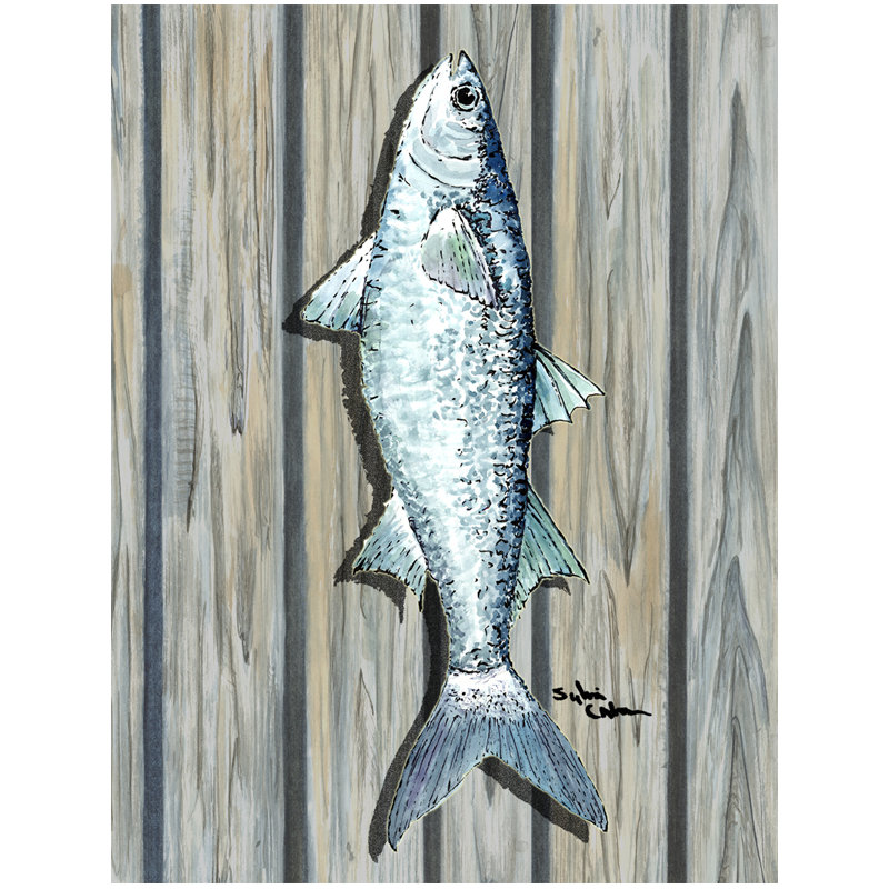 Drapeau de jardin 2 côtés fish mullet