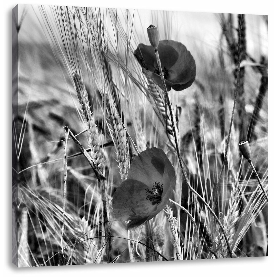 Leinwandbild Mohnblumen im Getreidefeld