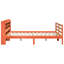 Storage Bed-1264889385