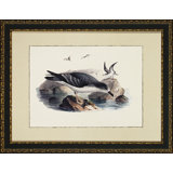 Sand And Sea II Print