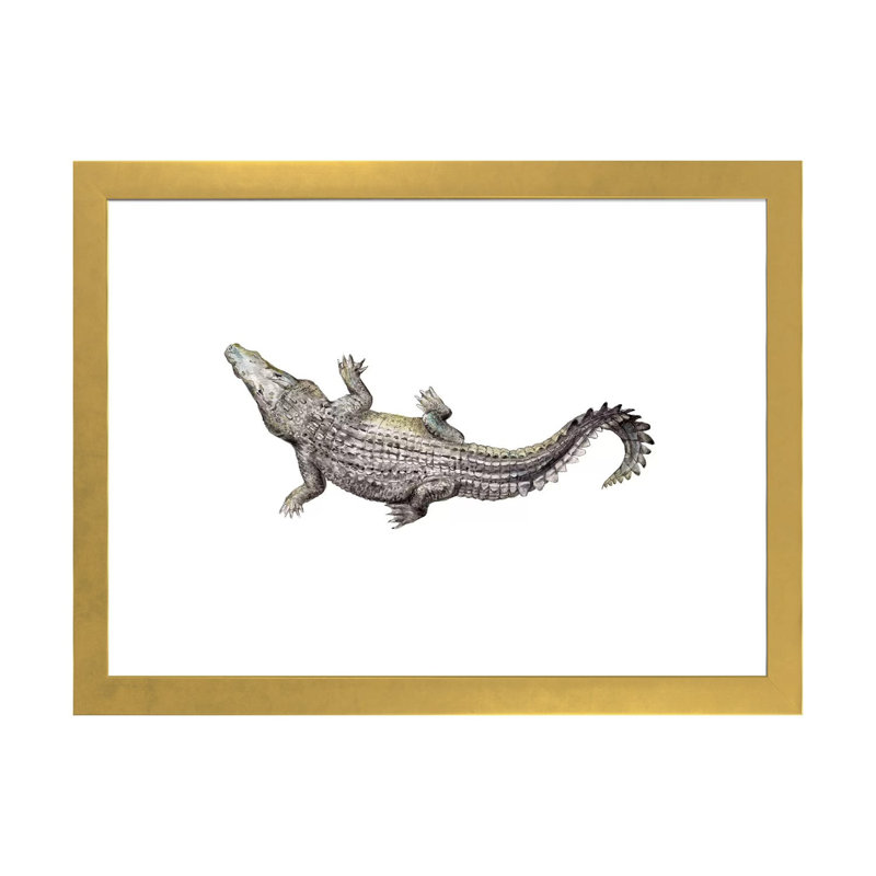 Croc par Wandering Laur - impression d'art graphique, Blanc, H 24 po x l 32 po x P 1 po, Papier encadré doré