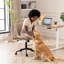 Chaise de bureau Maddoux-292349897