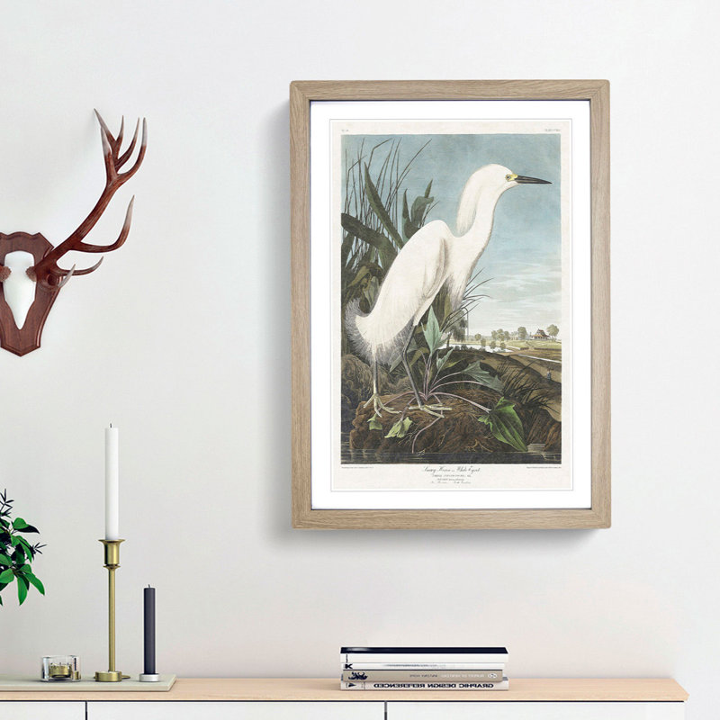 Snowy Heron by John Audubon - Picture Frame Painting Print, Oak Framed, 36cm H x 27cm W x 2cm D