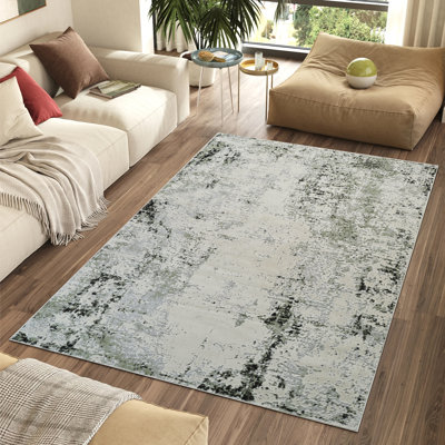 Haraidh Power Loom High-Low Area Rug